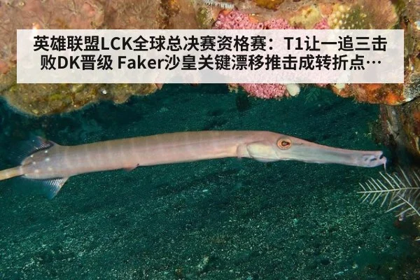 英雄联盟LCK全球总决赛资格赛：T1让一追三击败DK晋级 Faker沙皇关键漂移推击成转折点 全场比赛关键团战与选手表现深度复盘