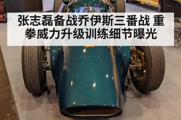 张志磊备战乔伊斯三番战 重拳威力升级训练细节曝光